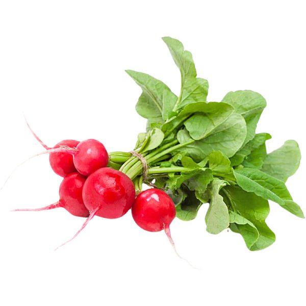 HERBS RED RADISH ROUND