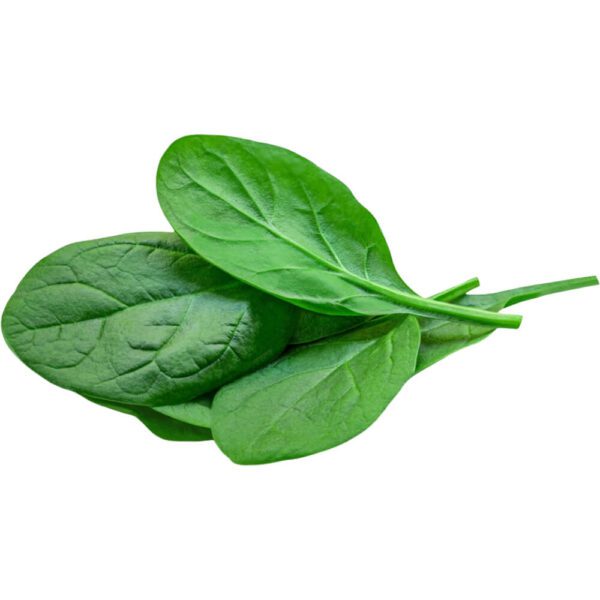 HERBS BABY SPINACH