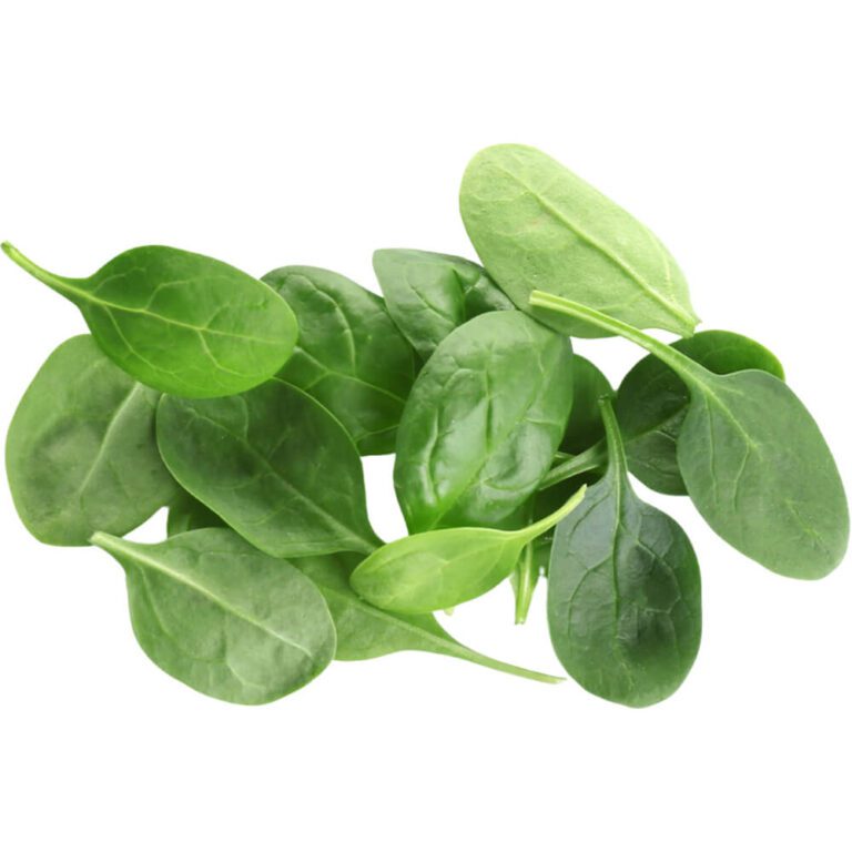 baby spinach freshleaf dubai uae img02