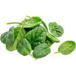 HERBS BABY SPINACH - Image 3