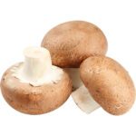MUSHROOM BROWN