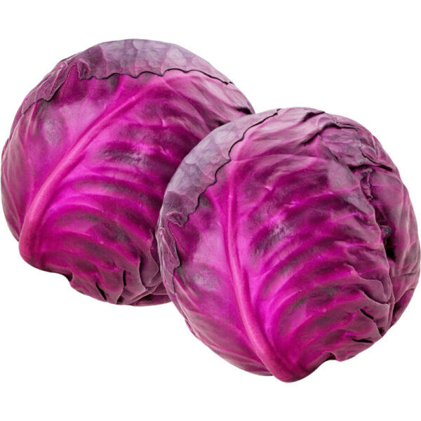 CABBAGE RED