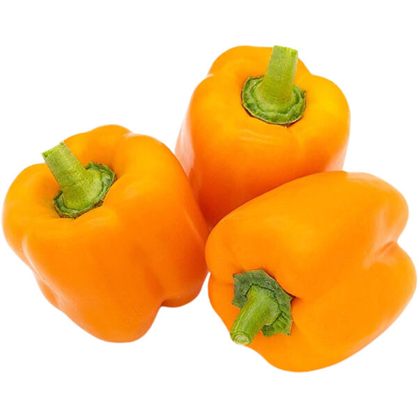ORANGE CAPSICUM