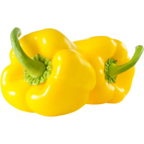 CAPSICUM YELLOW