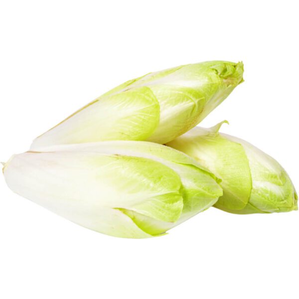 ENDIVES (CHICORY)