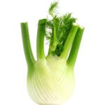 FENNEL