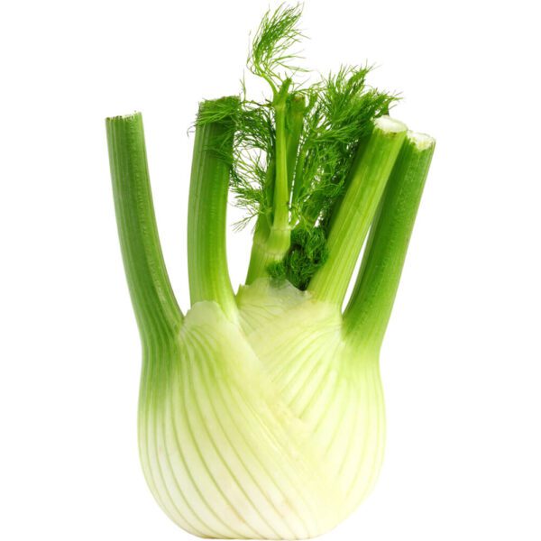 FENNEL