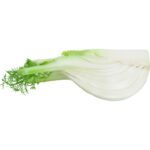 FENNEL - Image 2