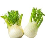 FENNEL - Image 3