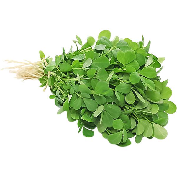 HERBS METHI (FENUGREEK LEAVES)
