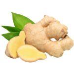 GINGER