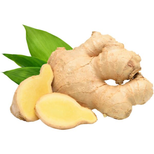 GINGER