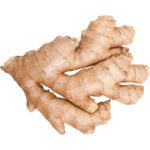GINGER - Image 3