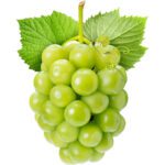 GRAPES WHITE SEEDLES - Image 2
