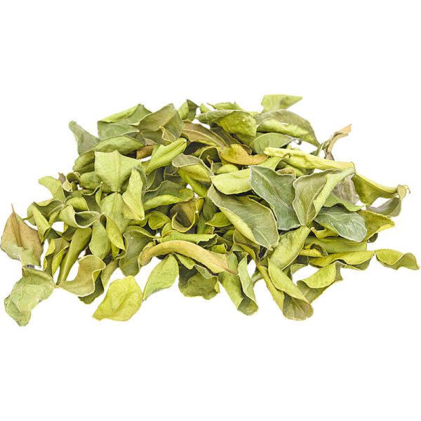 LIME LEAVES