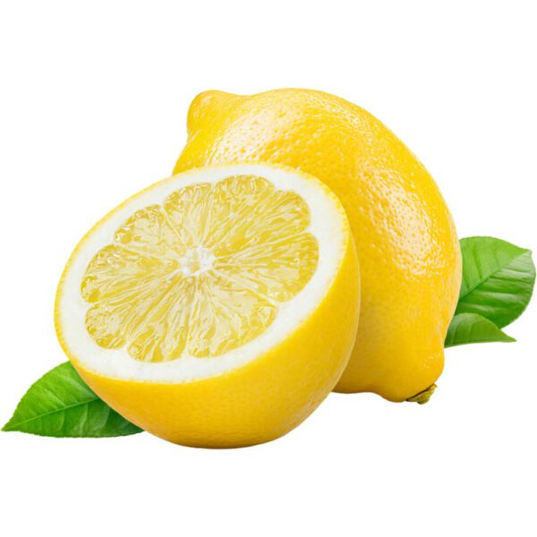LEMON YELLOW REGULAR