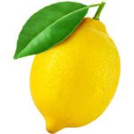 LEMON YELLOW REGULAR - Image 2