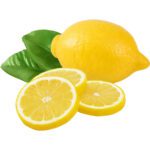 LEMON YELLOW REGULAR - Image 3