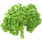 HERBS ENGLISH PARSLEY