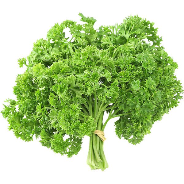 HERBS ENGLISH PARSLEY