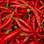CHILLI HOT BIRD RED - Image 2