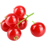 RED CURRANT PACK - Image 3