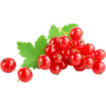 RED CURRANT PACK - Image 2