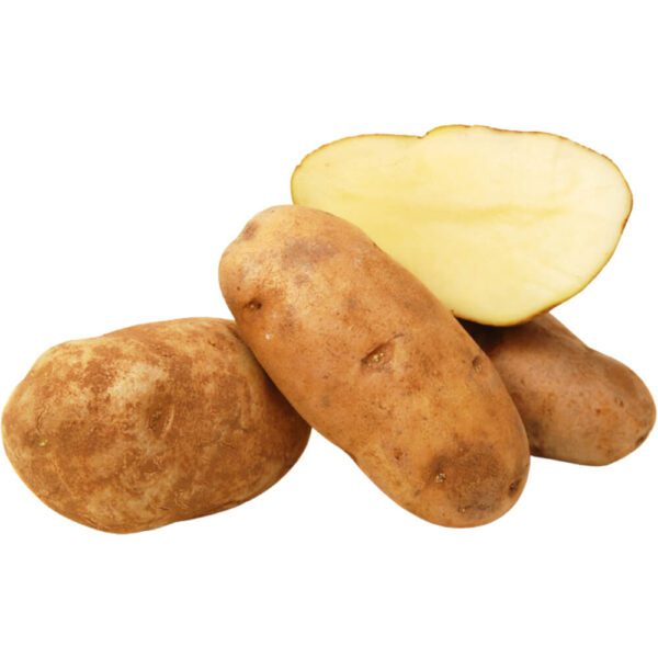 POTATO IDAHO
