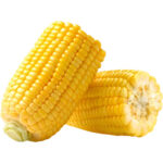SWEET CORN ON THE COB PKT - Image 2
