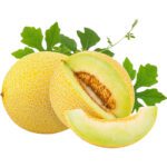 MELON SWEET ROUND