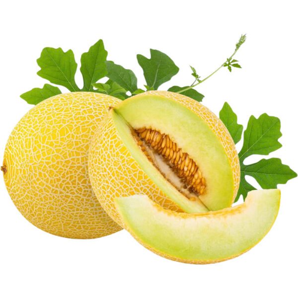 MELON SWEET ROUND