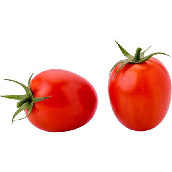 TOMATO DATTERINO ITALY