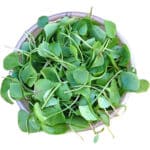 WATERCRESS LEAVES