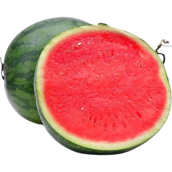 MELON WATER GREEN