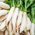 RADISH WHITE LARGE - Image 3