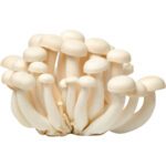 MUSHROOM WHITE PACK